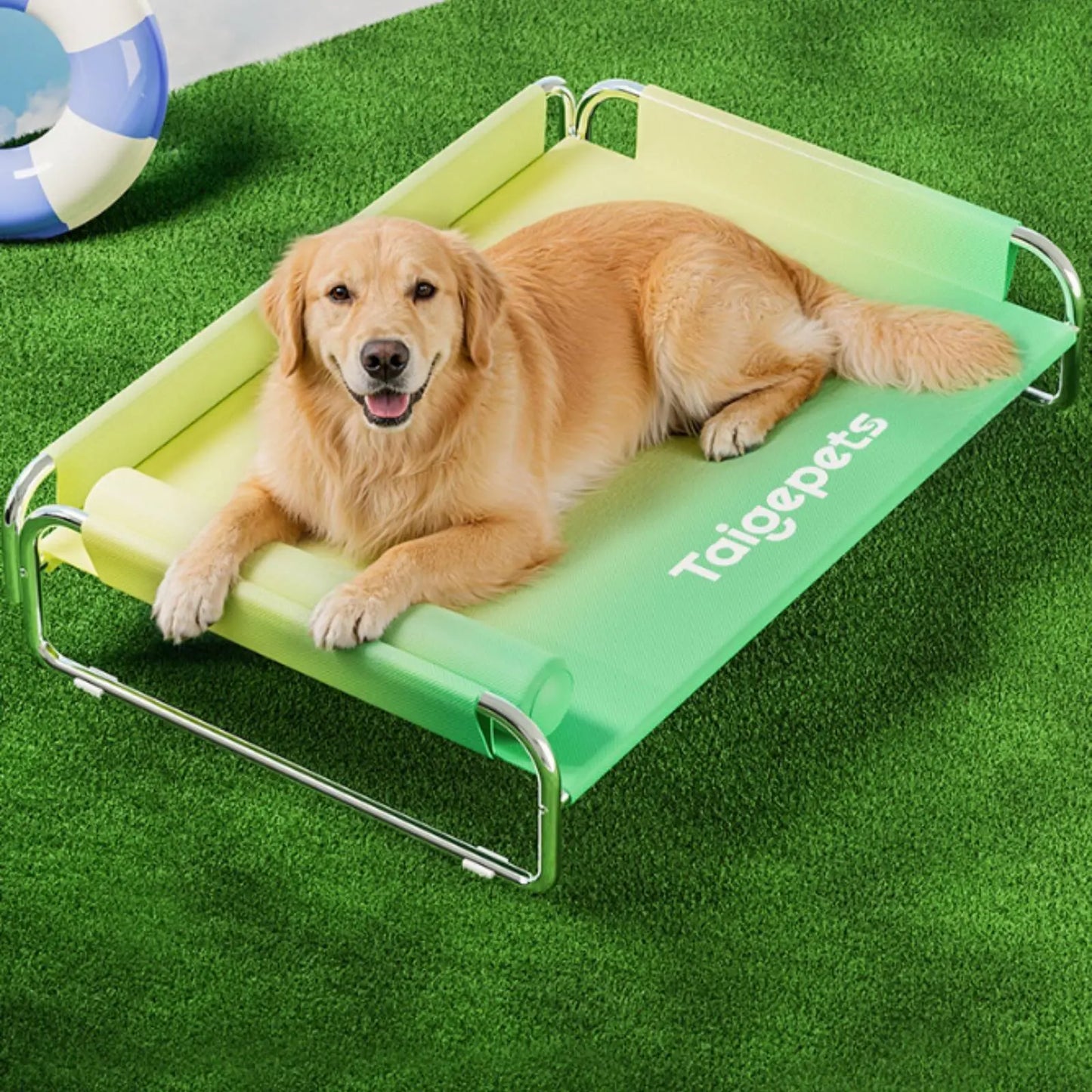 Stainless Steel Dog Bed Washable Elevated Dog Bed Pet Furniture Breathable Moisture Resistant for Large Dogs