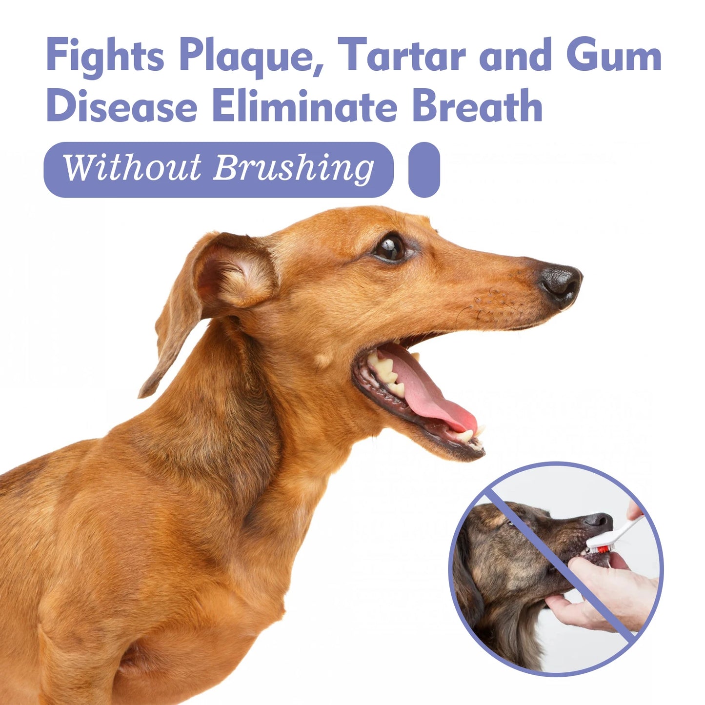Natural Pet Oral Care Spray For Dog Cats Safe Formula Remove Tartar Prevent Calculus Fresh Breath No Brushing Pets Dental Spray