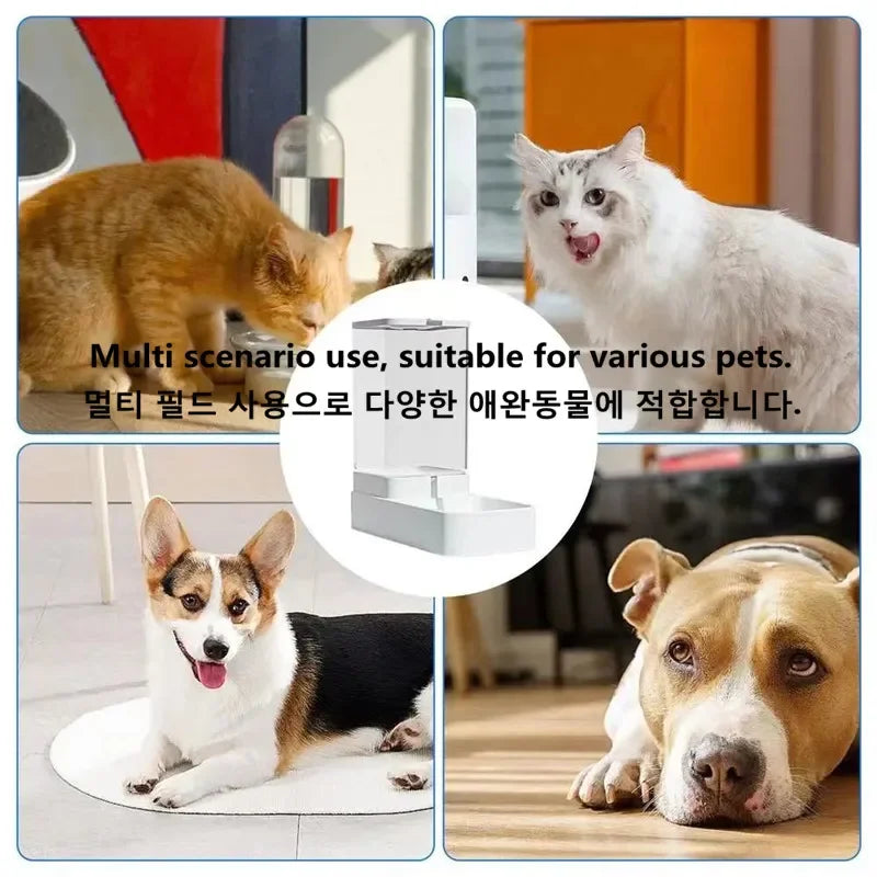 A8 Dog Automatic Feeder Transparent Automatic Gravity Cat Water Bowl High Capacity Food Storage  Container Cat And Dog